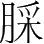 字
