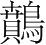 字