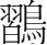 字
