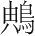 字
