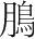 字